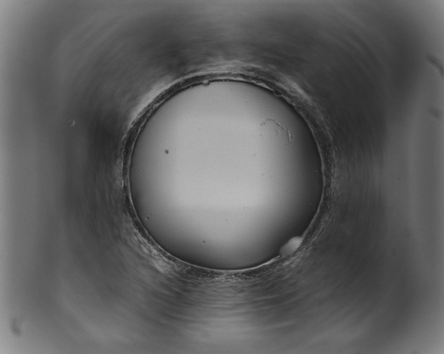 X0000099941216200806061510