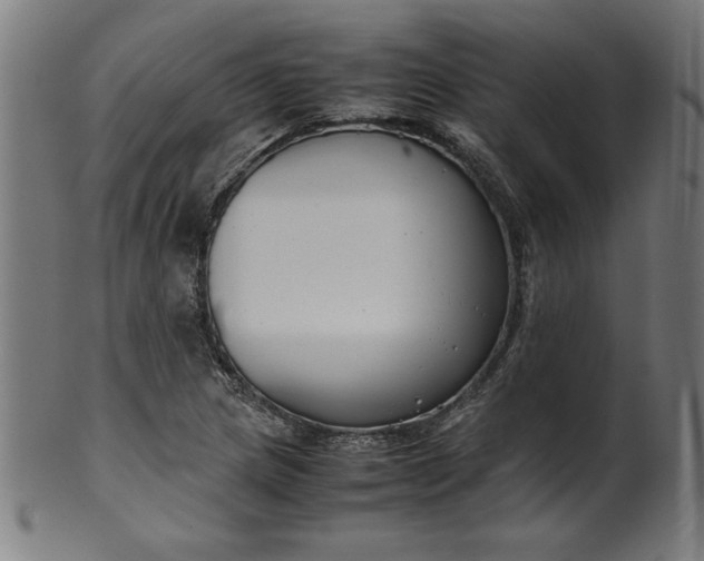 X0000099941217200806061510
