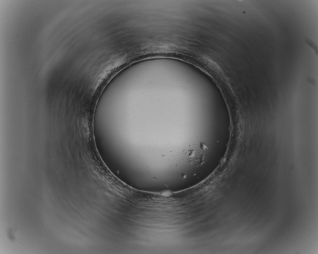 X0000099941218200806061510