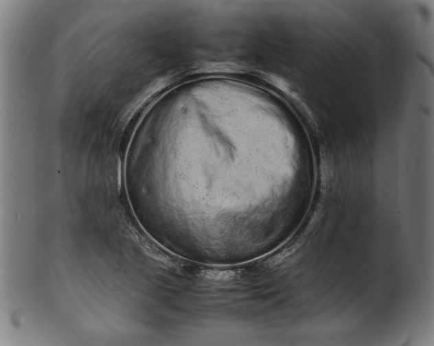 X0000099941221200806061510