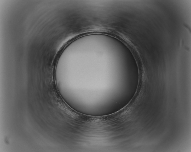 X0000099941222200806061510