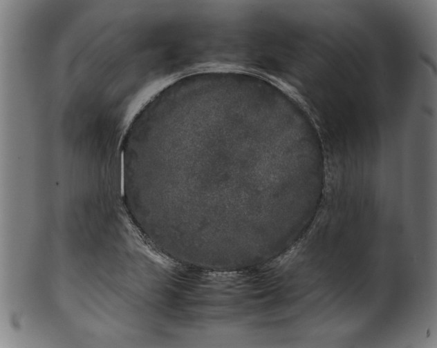 X0000099941223200806061510