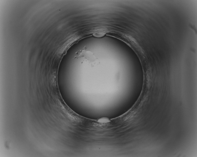 X0000099941225200806061510