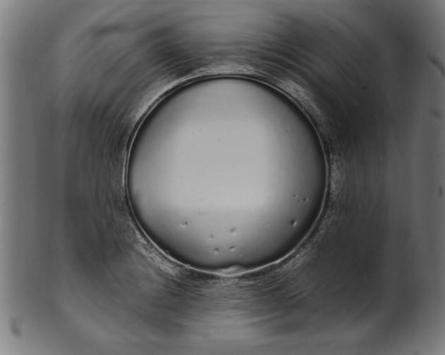 X0000099941228200806061510