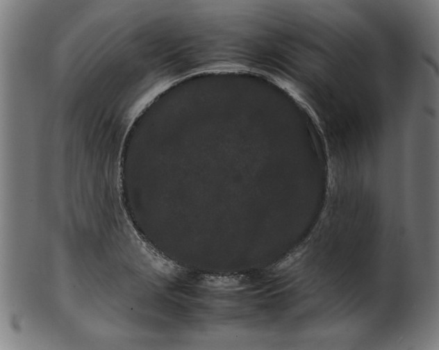 X0000099941229200806061510