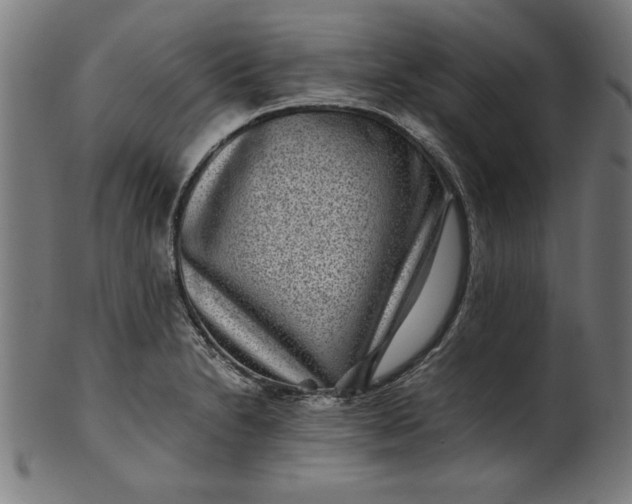 X0000099941230200806061510