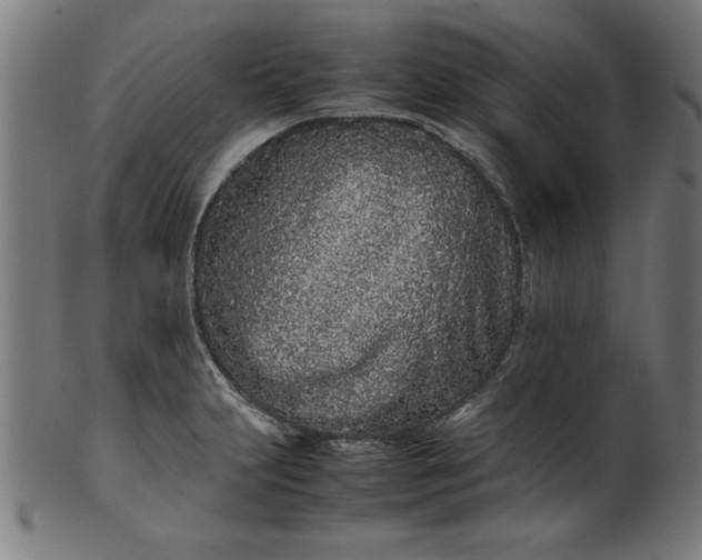 X0000099941231200806061510