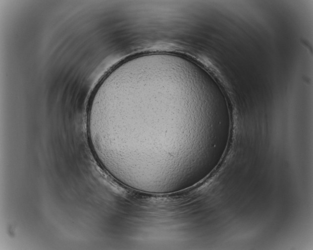 X0000099941232200806061510