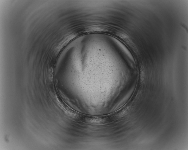 X0000099941233200806061510