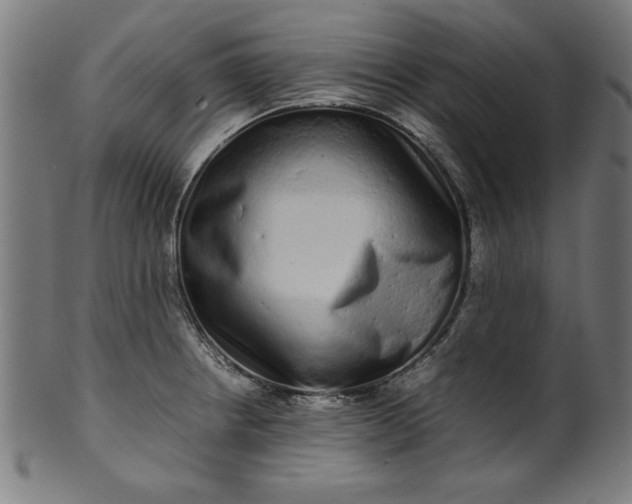 X0000099941234200806061510