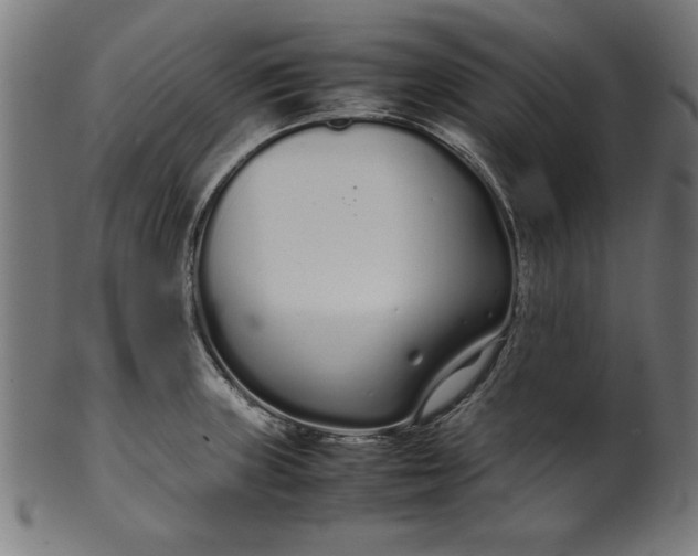 X0000099941235200806061510