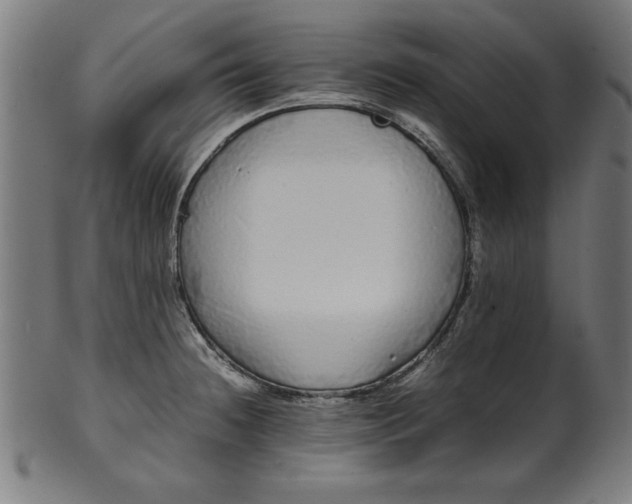 X0000099941236200806061510