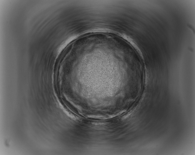 X0000099941237200806061510