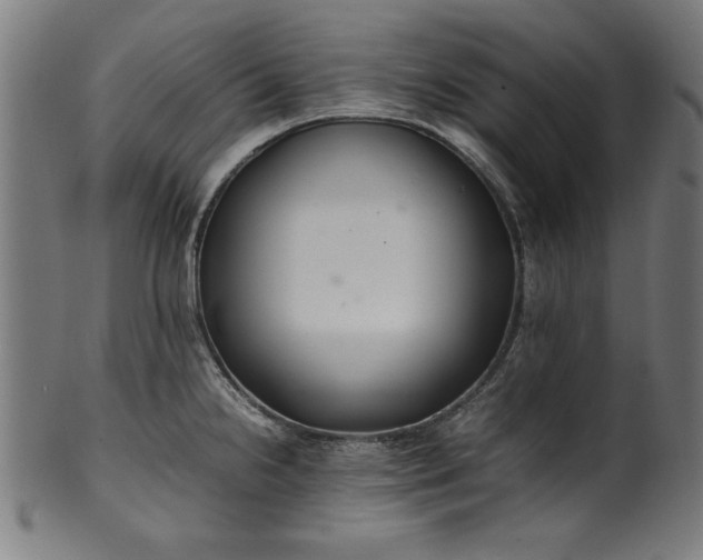 X0000099941238200806061510