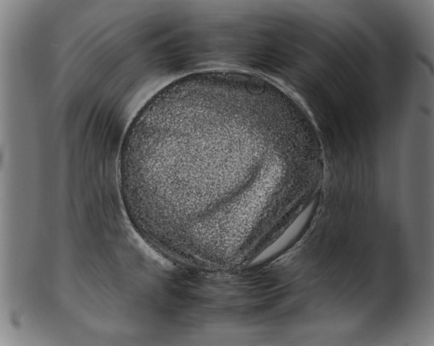 X0000099941239200806061510