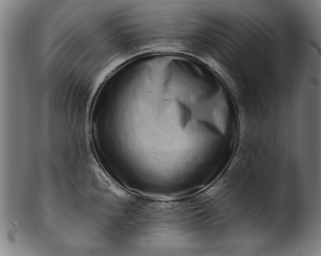 X0000099941240200806061510