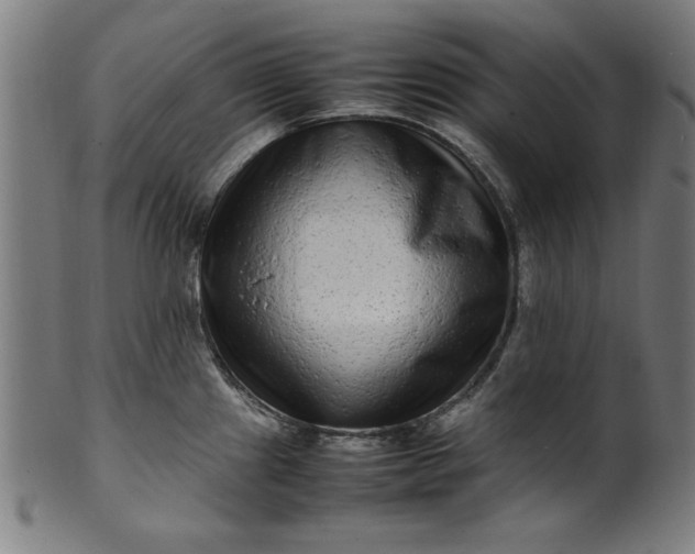 X0000099941241200806061510