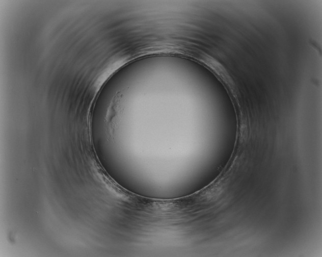 X0000099941242200806061510
