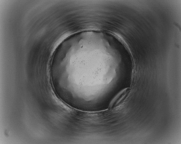 X0000099941243200806061510