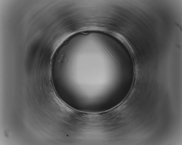 X0000099941244200806061511