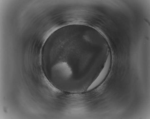 X0000099941246200806061511
