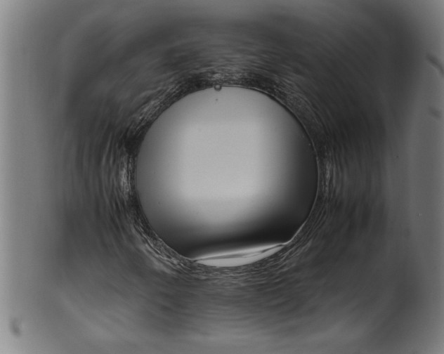 X0000099941250200806061510
