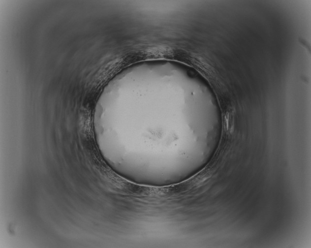 X0000099941251200806061510