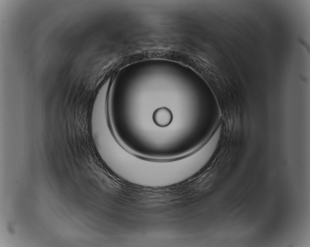 X0000099941252200806061510