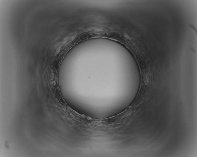 X0000099941253200806061510