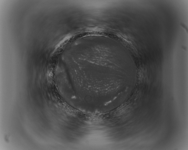 X0000099941254200806061510
