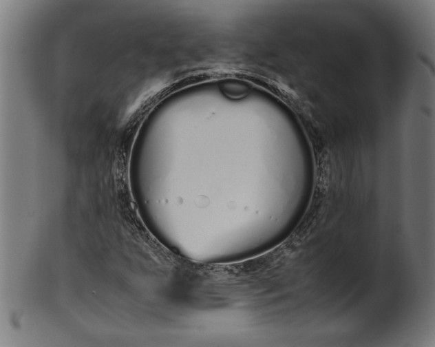 X0000099941255200806061510