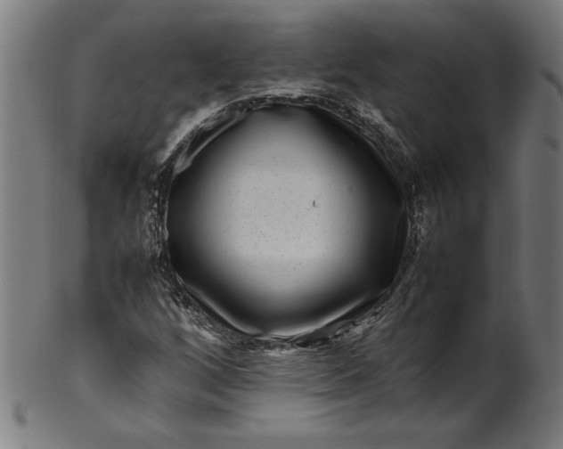 X0000099941256200806061510