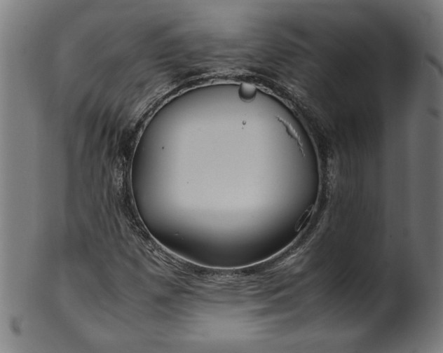 X0000099941257200806061510
