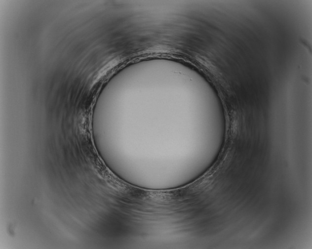 X0000099941258200806061510