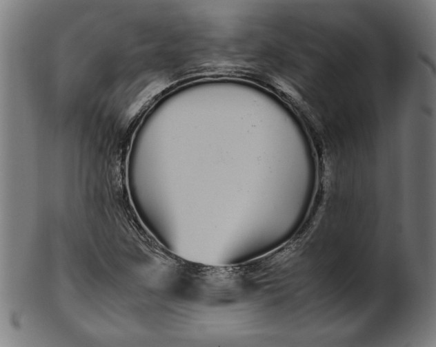 X0000099941259200806061510