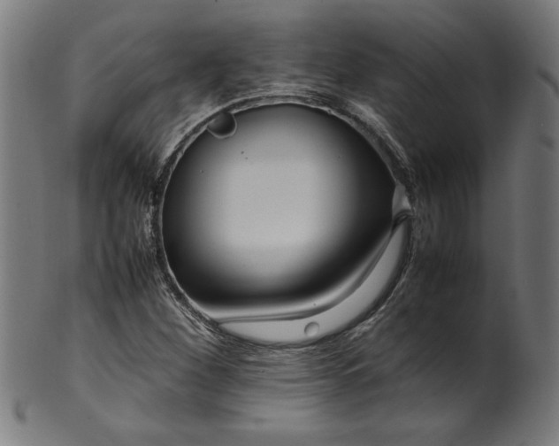 X0000099941260200806061510