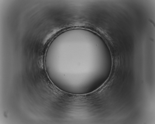 X0000099941262200806061510