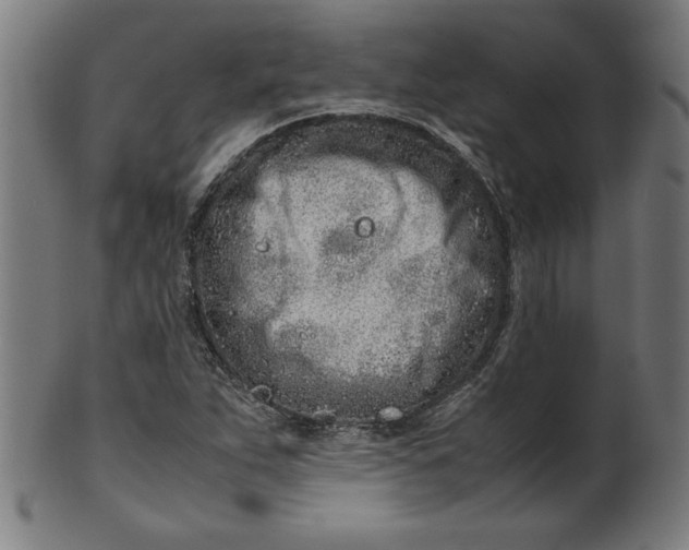 X0000099941263200806061510