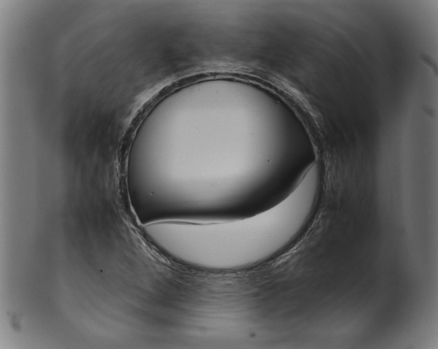 X0000099941264200806061509