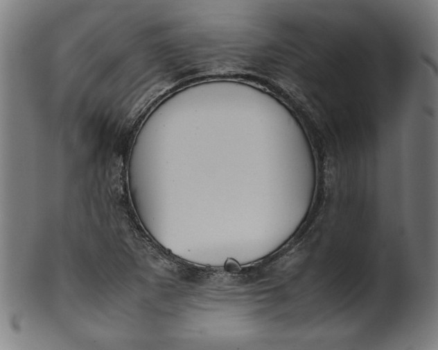 X0000099941265200806061509