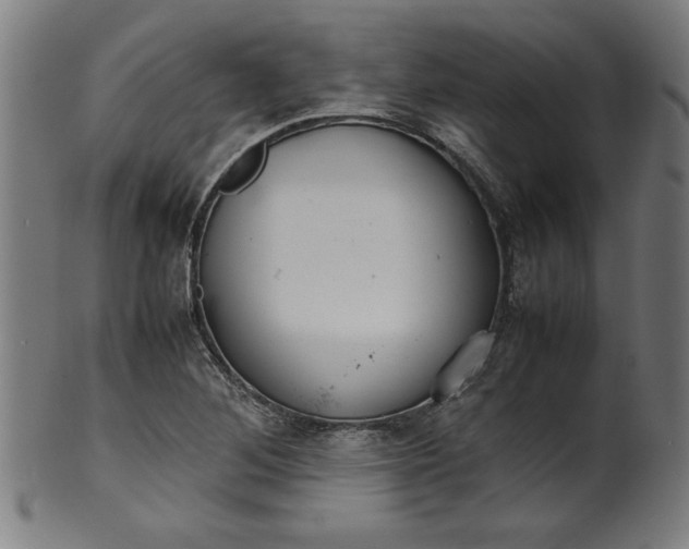 X0000099941268200806061509