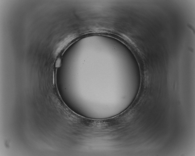 X0000099941269200806061509