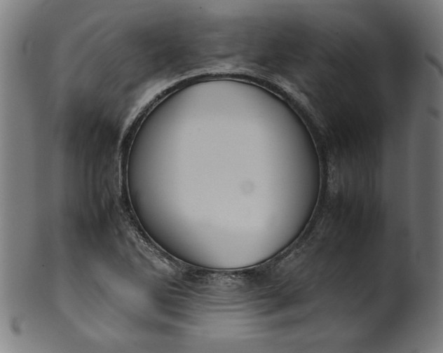 X0000099941270200806061509