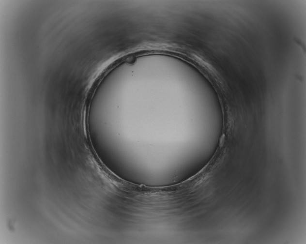 X0000099941272200806061509