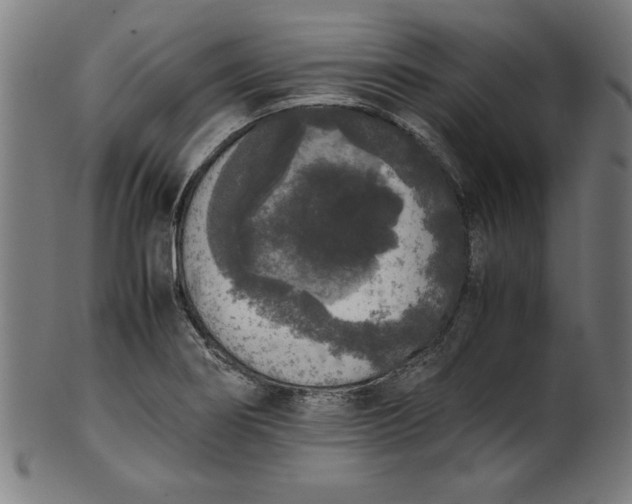 X0000099941274200806061509