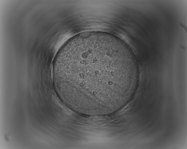 X0000099941275200806061509