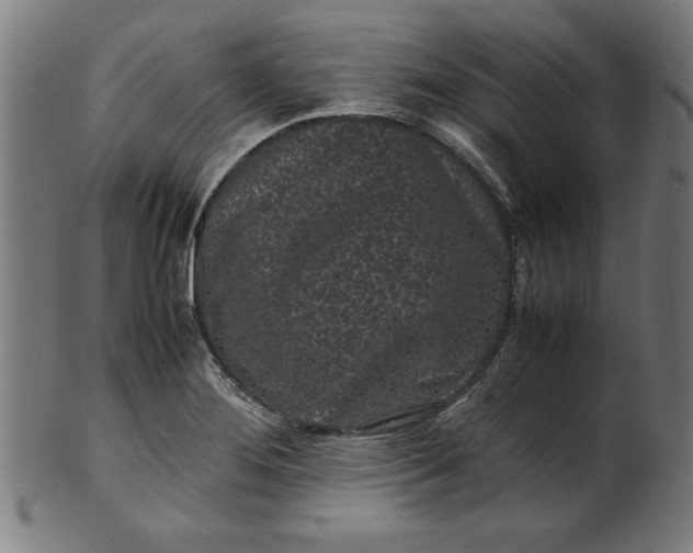 X0000099941276200806061509