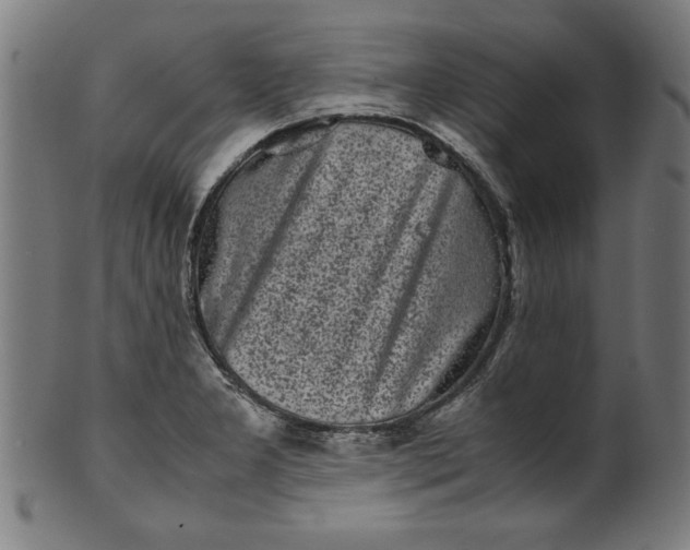 X0000099941277200806061509