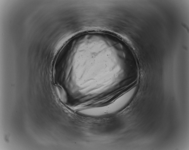X0000099941279200806061509