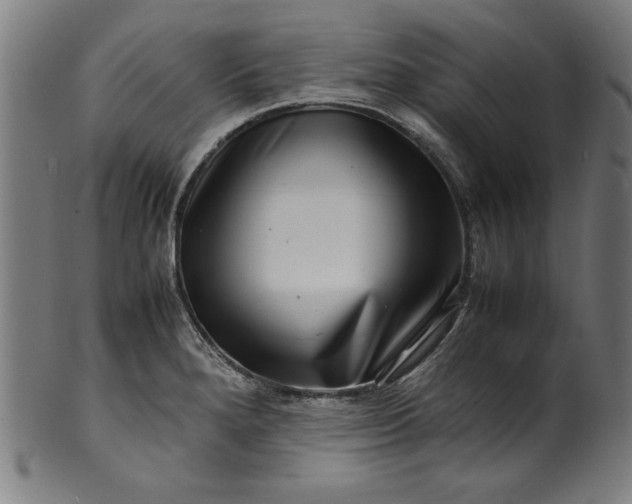 X0000099941280200806061509